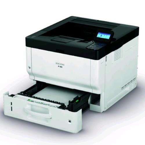 P 501 STAMP LED MONOCROMATICA A4