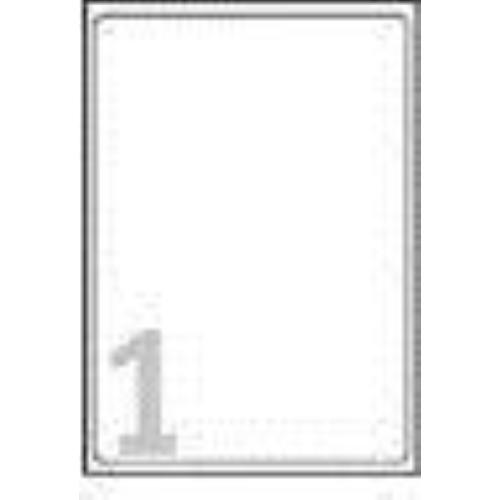 AVERY-ZWECKFORM L6013-20 CONF 20 ETICHETTE 297x210 MM AUTOADESIVE ARGENTO