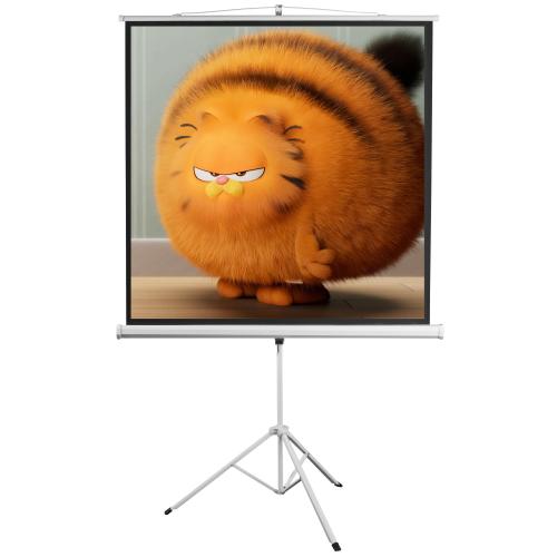 Schermo di Proiezione con Treppiedi 112'' 200x200 PSMT-112V2