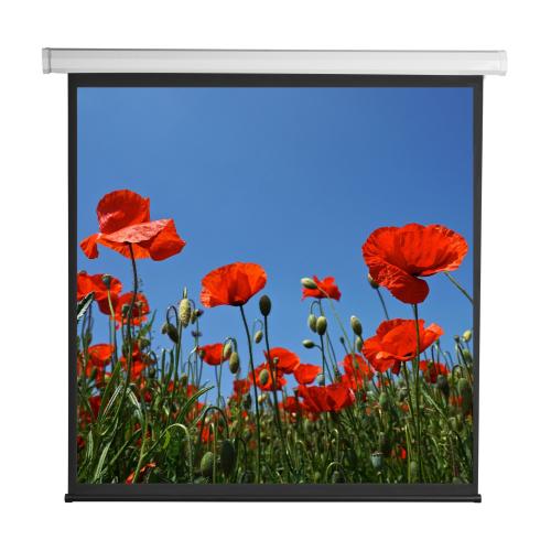Schermo di Proiezione Motorizzato 112'' 200x200 PSA-112-2