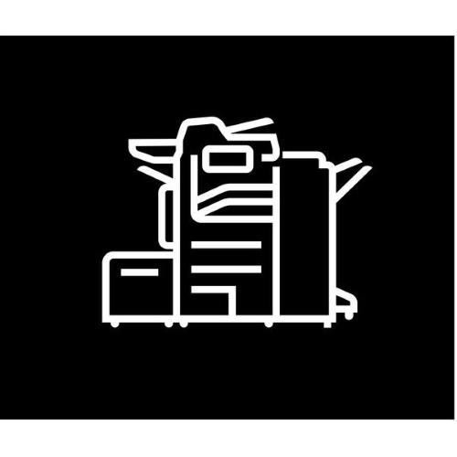 256MB ADDITIONAL MEMORY, PHASER 350