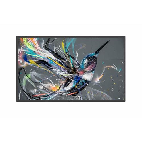 55 D-LED ECO-DESIGN ANDROID10 18/7