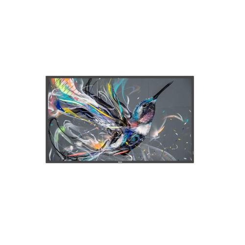 MONITOR 55 Q-LINE 18/7 4K