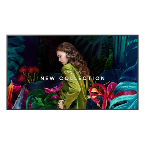 QB75C-N 75P 3840X2160 350CD/M2