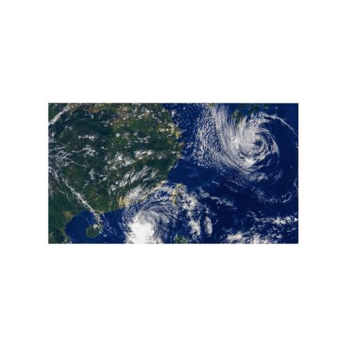 55 LED IPS 1920X1080 16:9 500NIT 1100:1 8MS 24/7