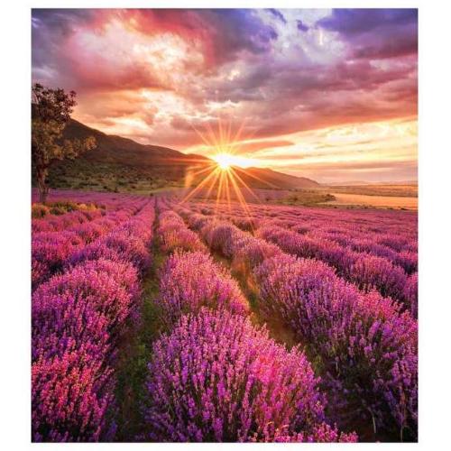 LEDWALL INDOOR SERIE IFH-E, PIXEL PITCH 1.5 MM