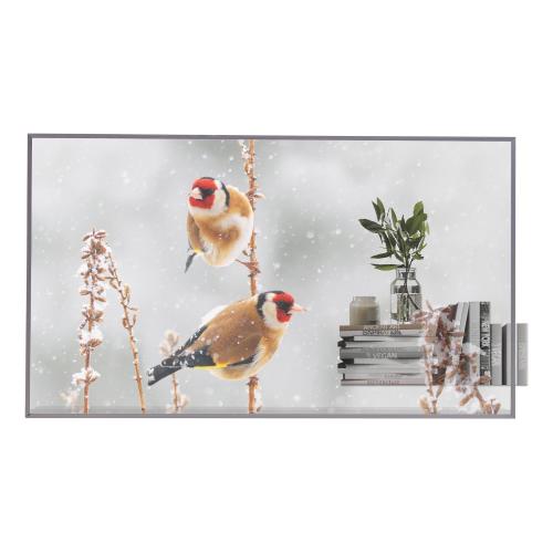 55 OLED, 1920X1080, 16:9