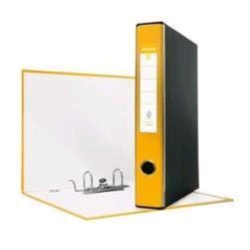 ESSELTE EUROFILE G54 REGISTRATORE FORMATO PROTOCOLLO 230X330X50 mm COL. GIALLO CONF 8 Pz.