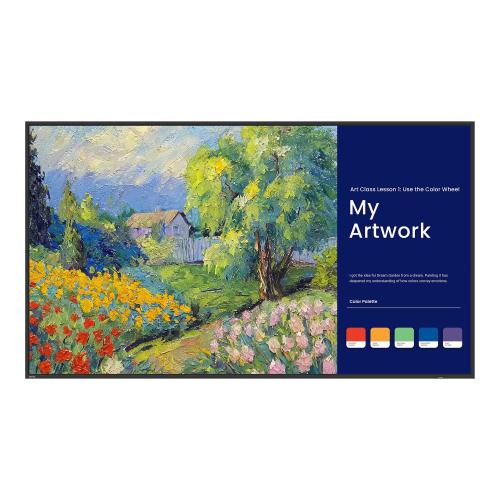 BENQ MON 65DS UHD 4K HDMI 500NI PANTONE 8GB 64GB HDMI 24/7 AND13 SL6504