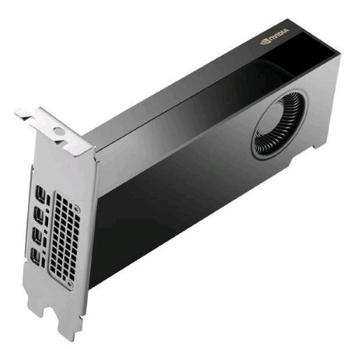 HP NVIDIA RTX PRO 2000 Blackwell 16GB GDDR7 PCIe 5.0 x8 4 x MINI DISPLAYPORT