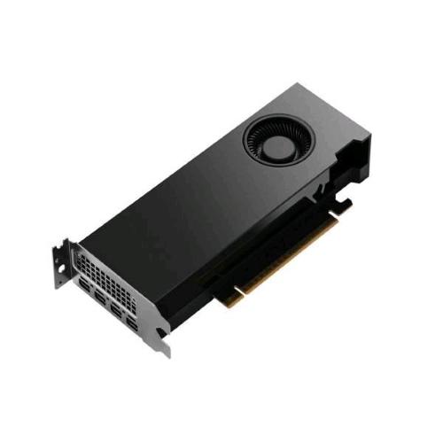 NVIDIA RTX PRO 2000 Blackwell 12 GB GDDR6 PCi Ex 5.0 16x 4 x MINI DISPLAYPORT CONFEZIONE BULK