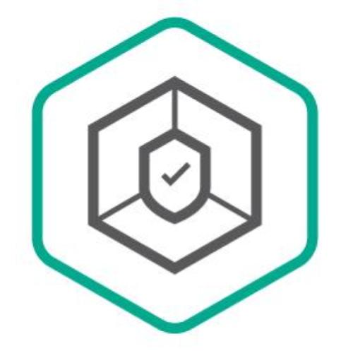 KASPERSKY SMALL OFFICE SECURITY 10-14 MOBILE DEVICE, 10-14 DESKTOP, 1 - FILESERVER, 10-14 USER 1 Y