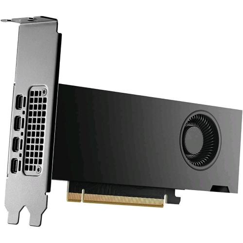 NVIDIA RTX 2000 Ada RETAIL 12 GB GDDR6 PCI Express x16 4.0 - 4 DISPLAYPORT