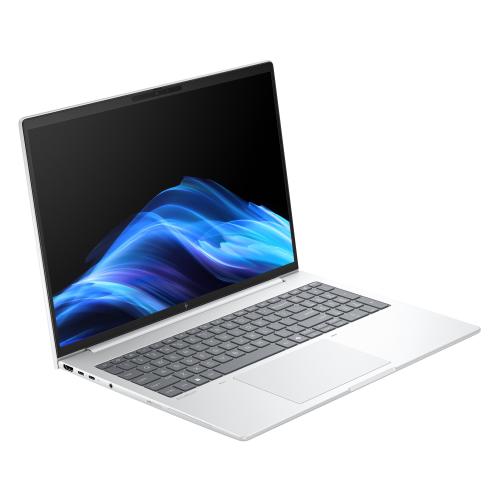 HP ELITEBOOK 8 G1a 16 AI PC 16" WUXGA AMD RYZEB AI 5 230 RAM 16GB-SSD 512GB NVMe-AMD RADEON GRAPHICS 760M-WI-FI 6E-WIN 11 PROF ARGENTO (D76LSET#ABZ)